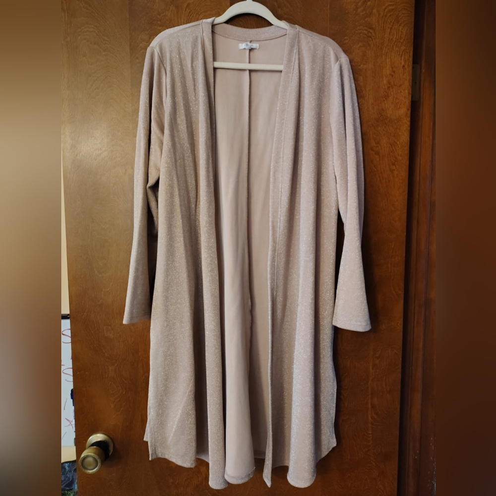 Maurices Shimmering Beige Top